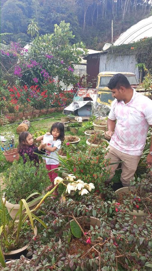 Hillview Inn Cameron Highlands Esterno foto