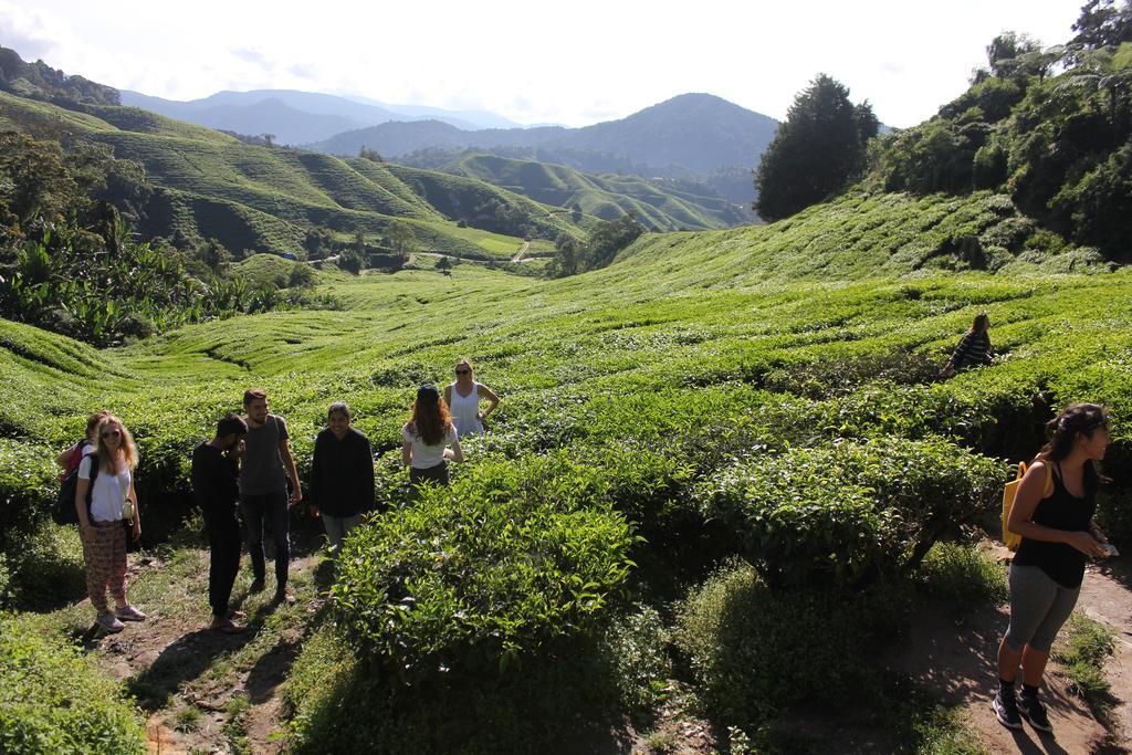 Hillview Inn Cameron Highlands Esterno foto
