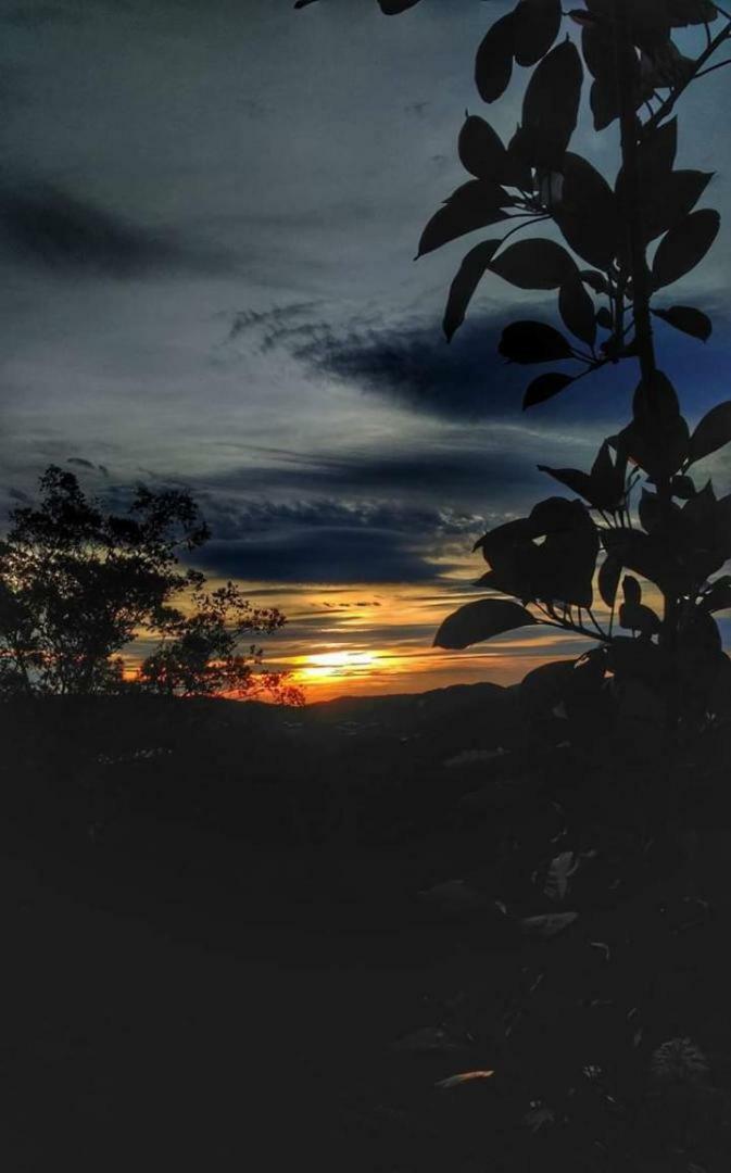 Hillview Inn Cameron Highlands Esterno foto